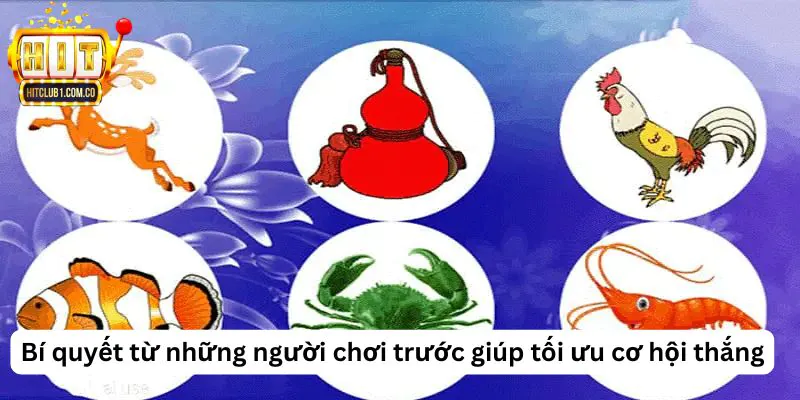 Bí quyết từ những người chơi trước giúp tối ưu cơ hội thắng