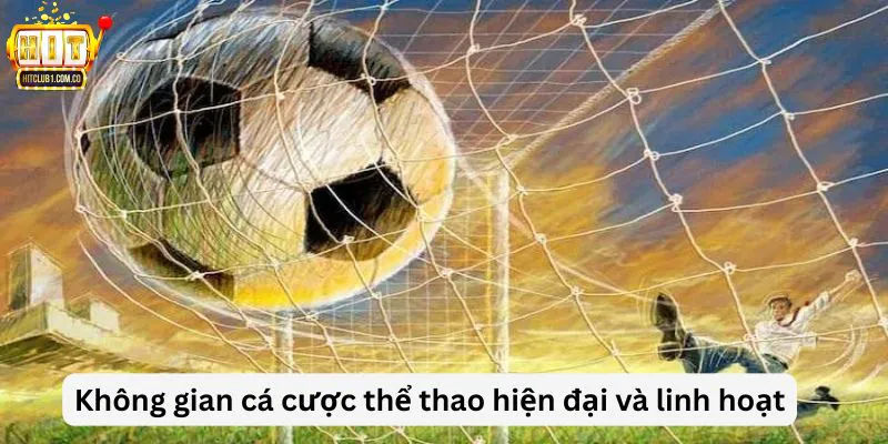 Không gian cá cược thể thao hiện đại và linh hoạt